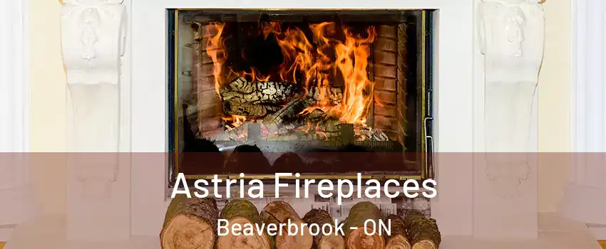  Astria Fireplaces Beaverbrook - ON