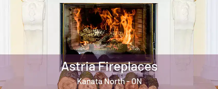  Astria Fireplaces Kanata North - ON