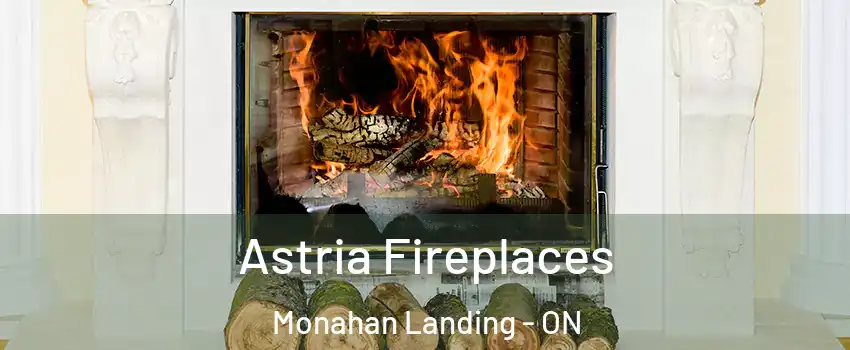 Astria Fireplaces Monahan Landing - ON