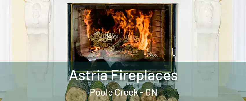  Astria Fireplaces Poole Creek - ON