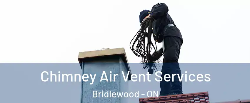  Chimney Air Vent Services Bridlewood - ON