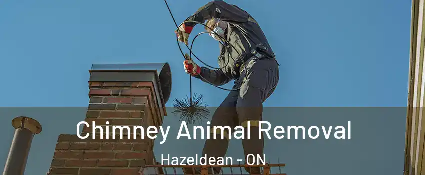  Chimney Animal Removal Hazeldean - ON