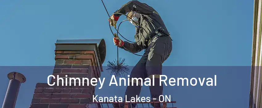  Chimney Animal Removal Kanata Lakes - ON