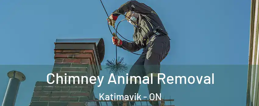 Chimney Animal Removal Katimavik - ON
