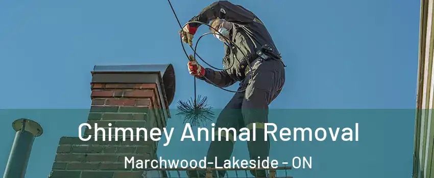  Chimney Animal Removal Marchwood-Lakeside - ON