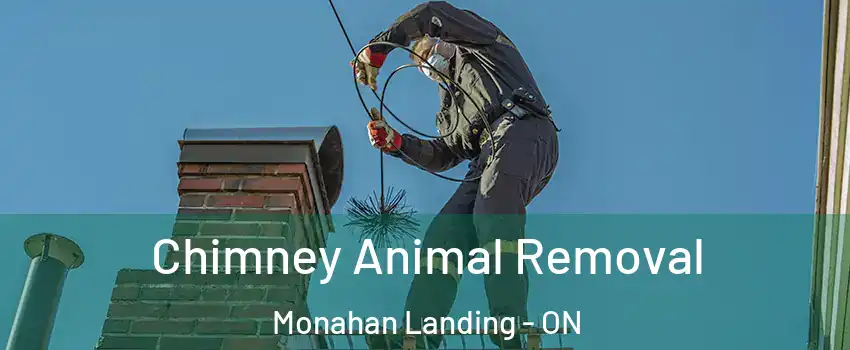  Chimney Animal Removal Monahan Landing - ON