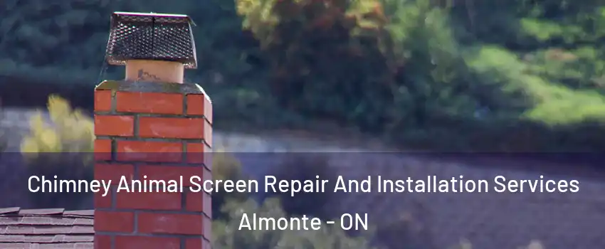  Chimney Animal Screen Repair And Installation Services Almonte - ON