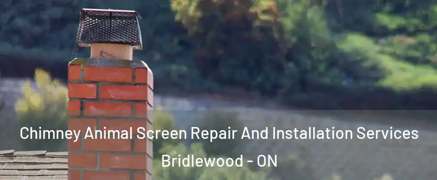  Chimney Animal Screen Repair And Installation Services Bridlewood - ON