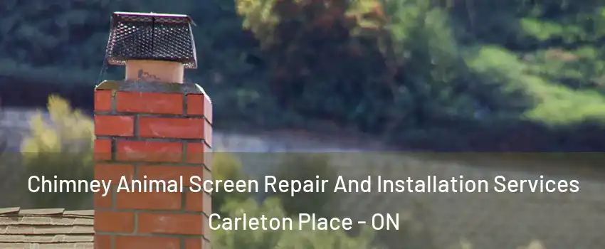  Chimney Animal Screen Repair And Installation Services Carleton Place - ON