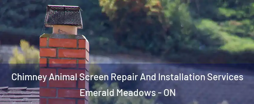 Chimney Animal Screen Repair And Installation Services Emerald Meadows - ON