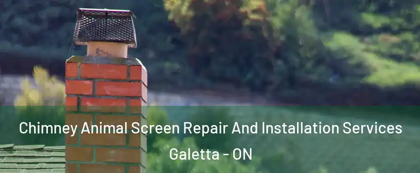  Chimney Animal Screen Repair And Installation Services Galetta - ON
