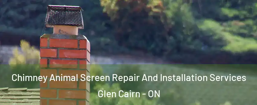  Chimney Animal Screen Repair And Installation Services Glen Cairn - ON