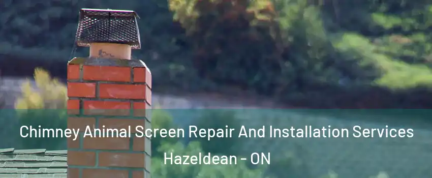  Chimney Animal Screen Repair And Installation Services Hazeldean - ON
