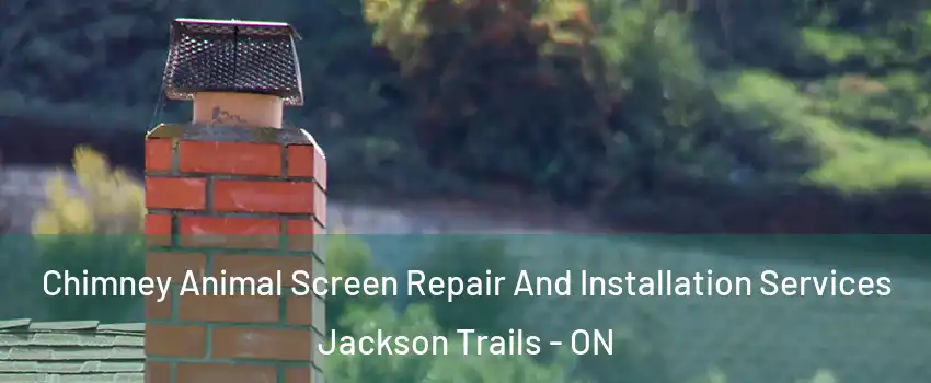  Chimney Animal Screen Repair And Installation Services Jackson Trails - ON