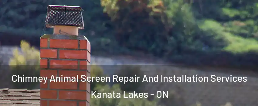  Chimney Animal Screen Repair And Installation Services Kanata Lakes - ON