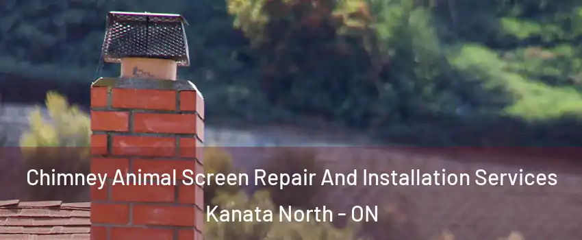  Chimney Animal Screen Repair And Installation Services Kanata North - ON
