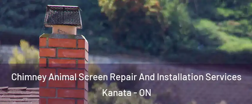  Chimney Animal Screen Repair And Installation Services Kanata - ON