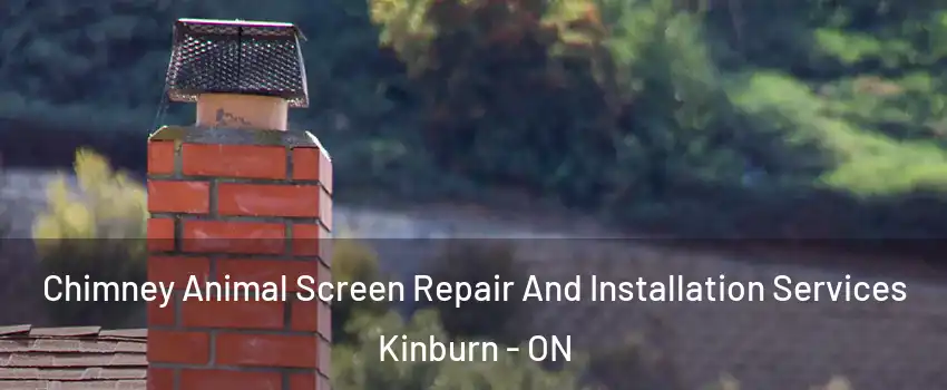  Chimney Animal Screen Repair And Installation Services Kinburn - ON