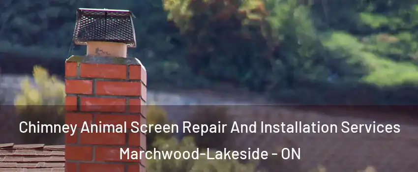  Chimney Animal Screen Repair And Installation Services Marchwood-Lakeside - ON