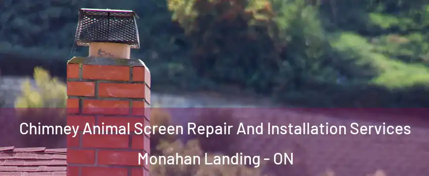  Chimney Animal Screen Repair And Installation Services Monahan Landing - ON