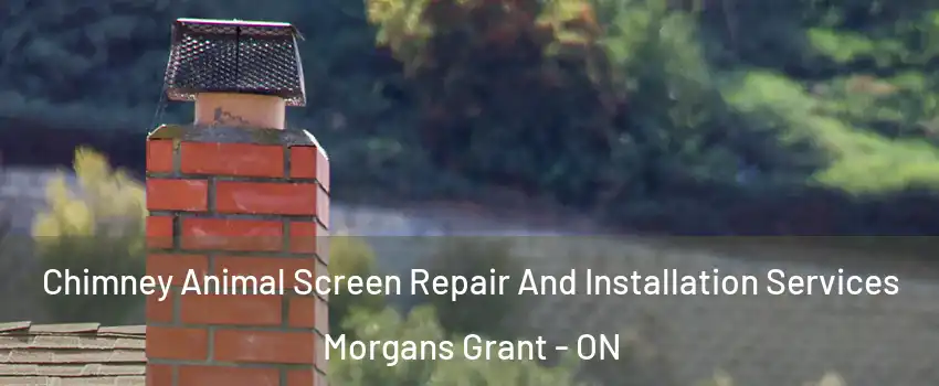 Chimney Animal Screen Repair And Installation Services Morgans Grant - ON