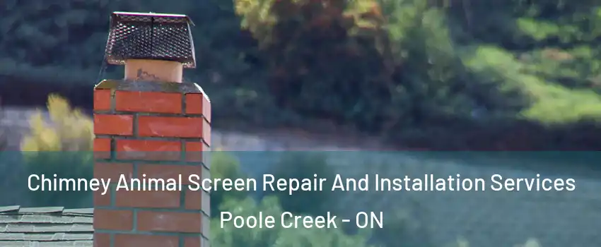  Chimney Animal Screen Repair And Installation Services Poole Creek - ON