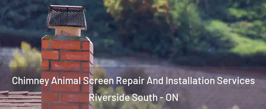  Chimney Animal Screen Repair And Installation Services Riverside South - ON