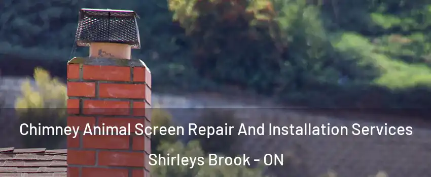  Chimney Animal Screen Repair And Installation Services Shirleys Brook - ON