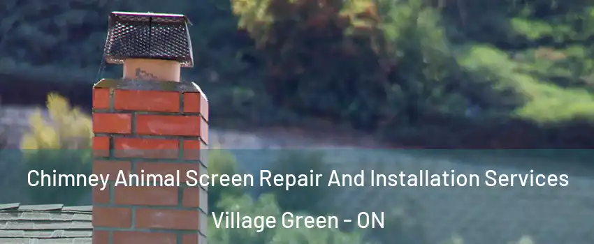  Chimney Animal Screen Repair And Installation Services Village Green - ON