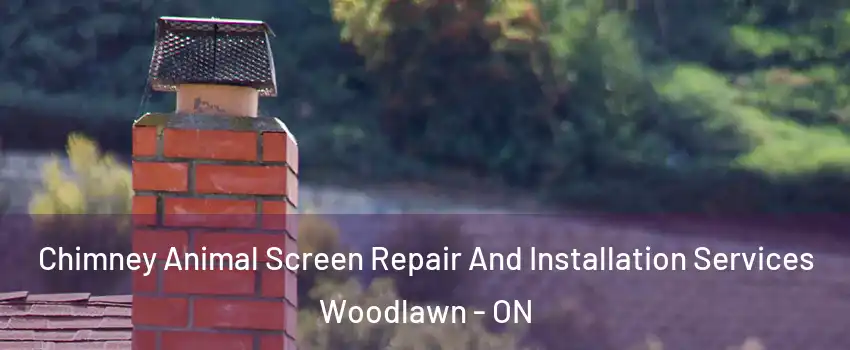  Chimney Animal Screen Repair And Installation Services Woodlawn - ON