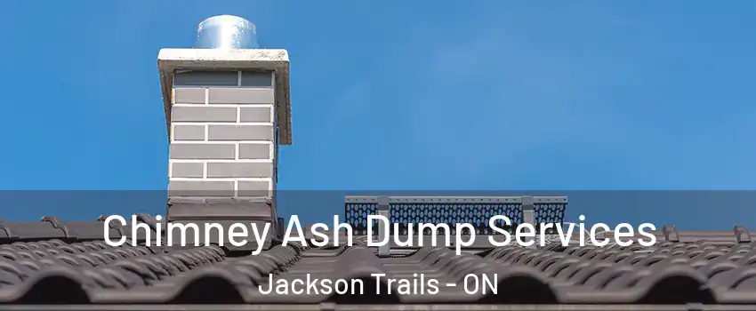  Chimney Ash Dump Services Jackson Trails - ON
