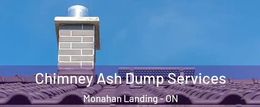 Chimney Ash Dump Services Monahan Landing - ON