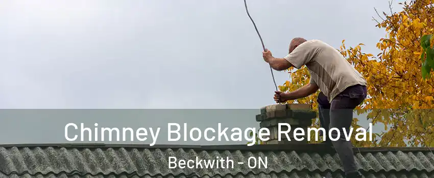  Chimney Blockage Removal Beckwith - ON
