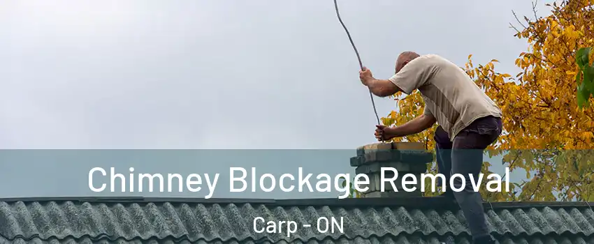  Chimney Blockage Removal Carp - ON