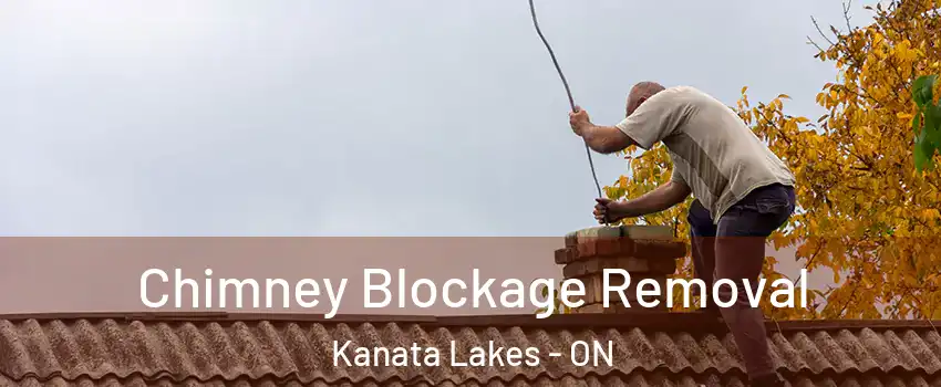  Chimney Blockage Removal Kanata Lakes - ON