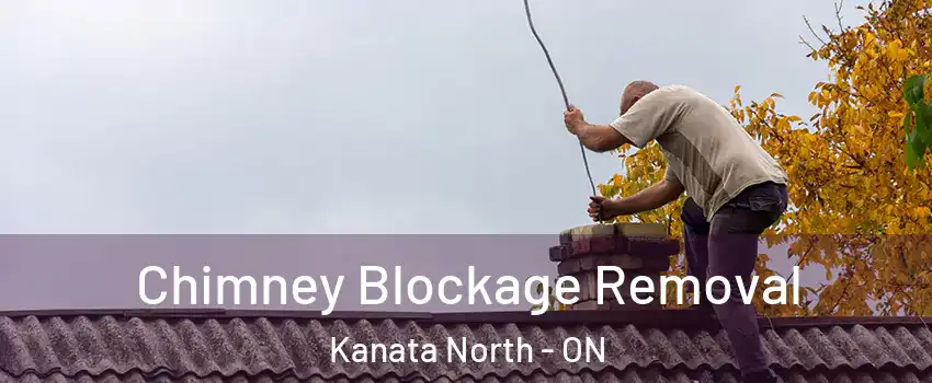  Chimney Blockage Removal Kanata North - ON