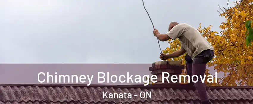  Chimney Blockage Removal Kanata - ON