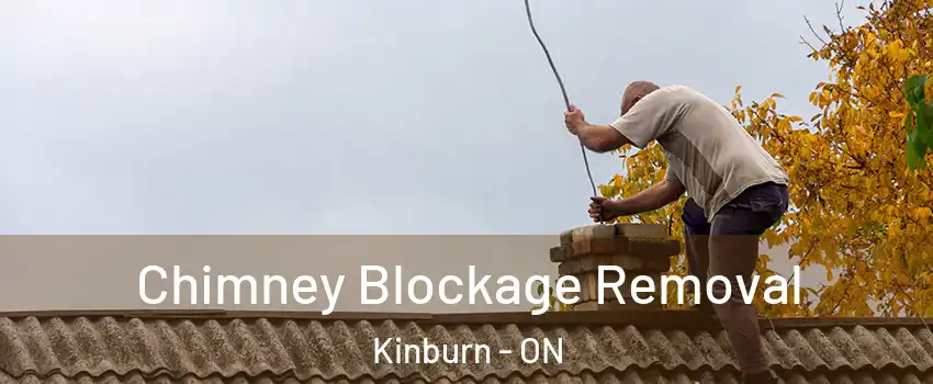  Chimney Blockage Removal Kinburn - ON