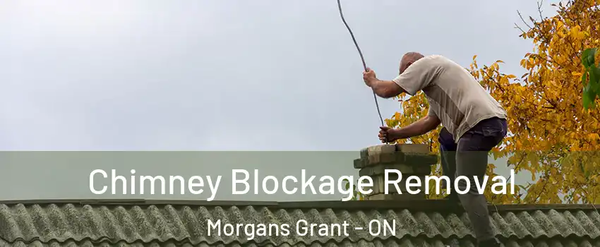  Chimney Blockage Removal Morgans Grant - ON