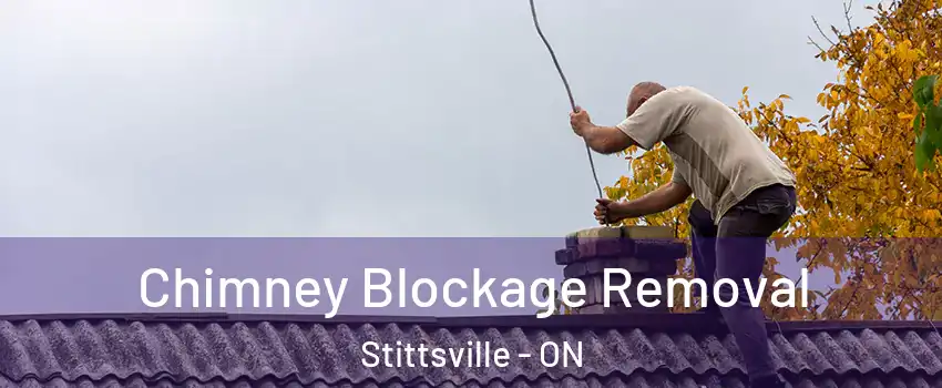  Chimney Blockage Removal Stittsville - ON