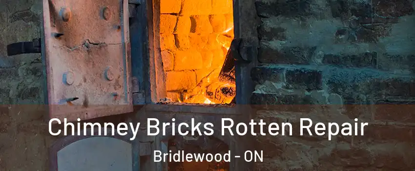  Chimney Bricks Rotten Repair Bridlewood - ON