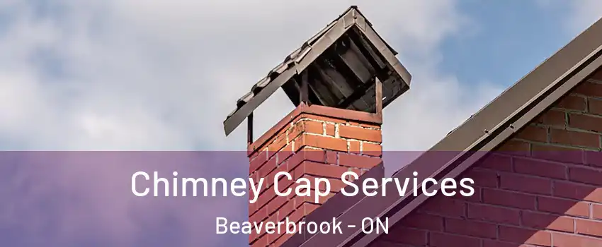  Chimney Cap Services Beaverbrook - ON