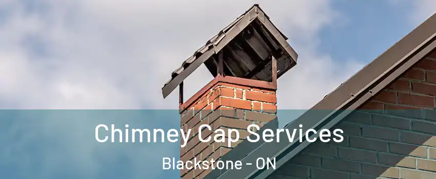  Chimney Cap Services Blackstone - ON