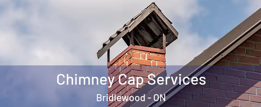  Chimney Cap Services Bridlewood - ON