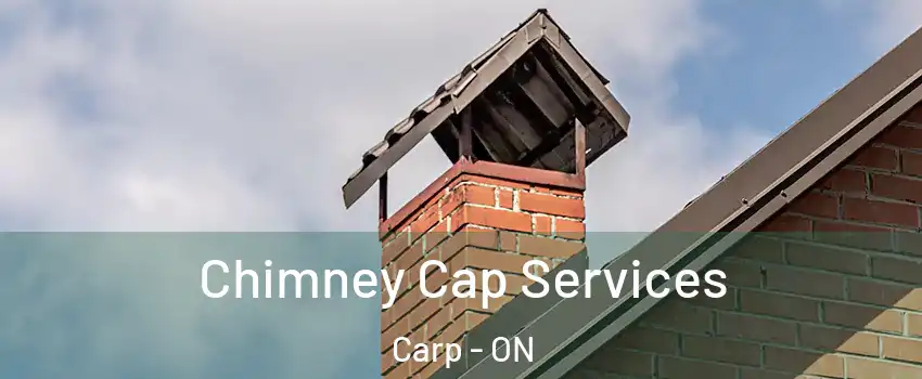  Chimney Cap Services Carp - ON