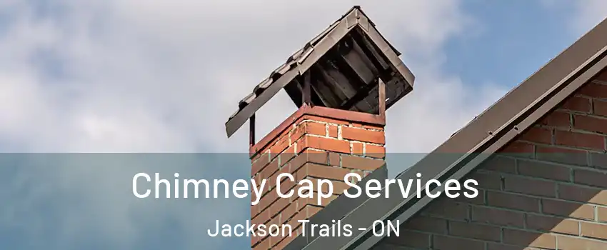  Chimney Cap Services Jackson Trails - ON