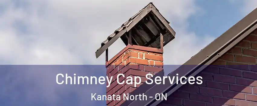  Chimney Cap Services Kanata North - ON