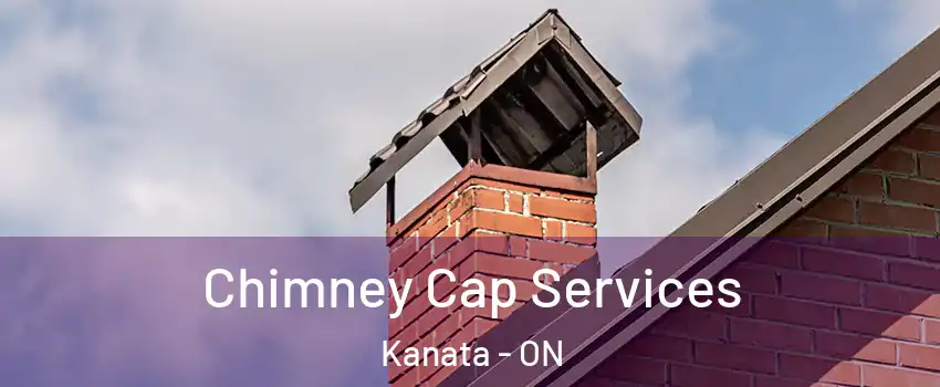  Chimney Cap Services Kanata - ON