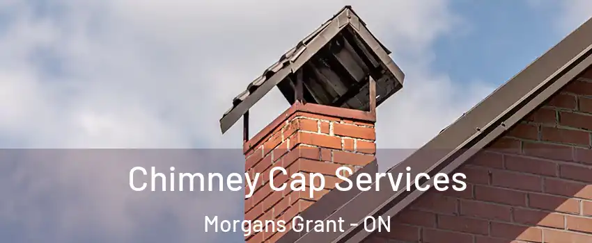  Chimney Cap Services Morgans Grant - ON