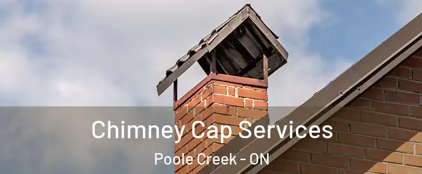  Chimney Cap Services Poole Creek - ON
